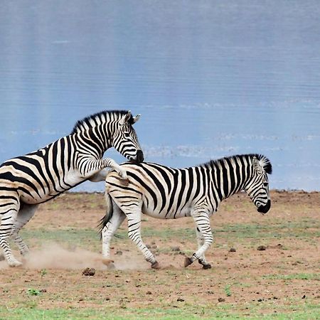 Tented Adventures Pilanesberg Ngoại thất bức ảnh