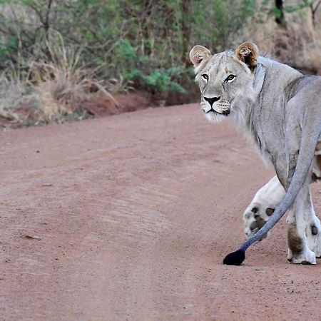 Tented Adventures Pilanesberg Ngoại thất bức ảnh