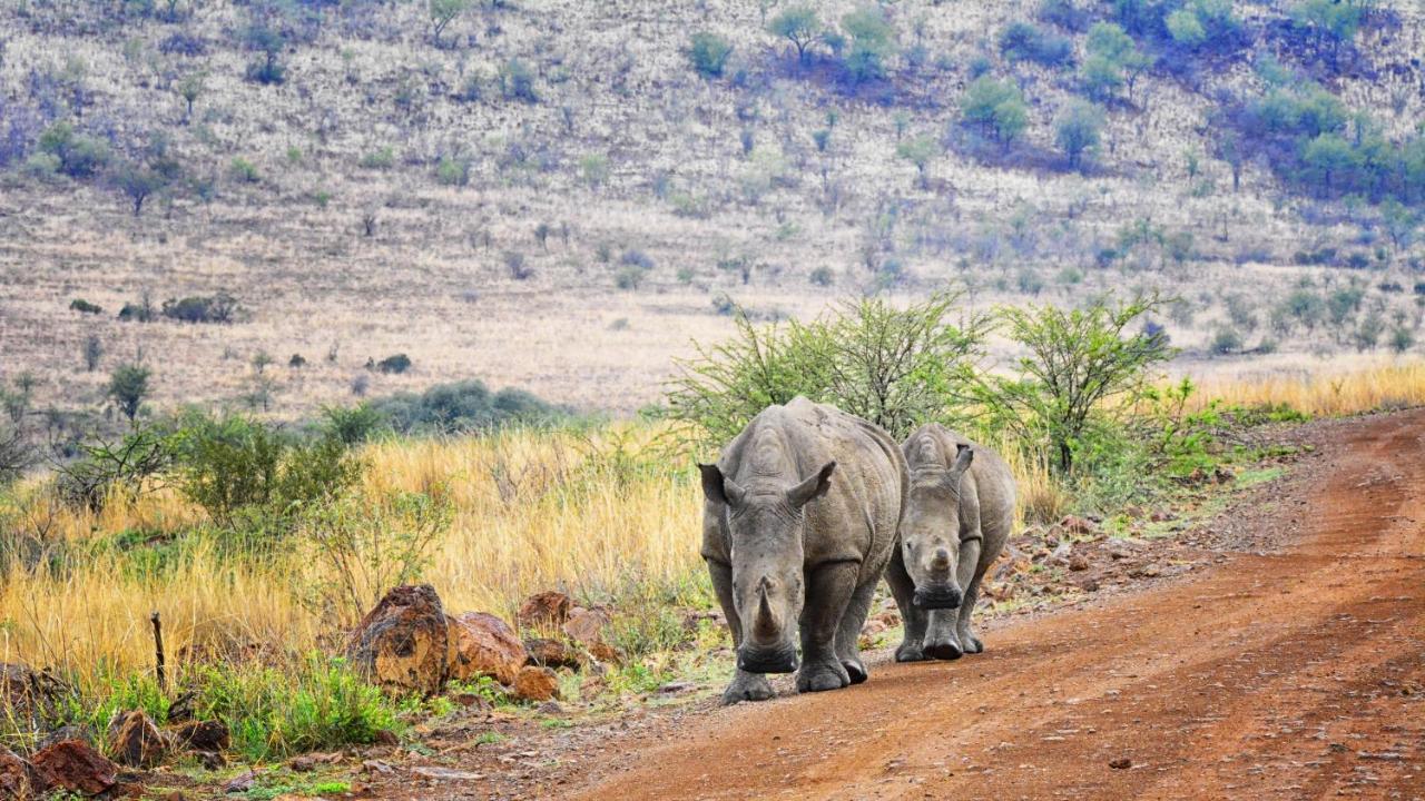 Tented Adventures Pilanesberg Ngoại thất bức ảnh