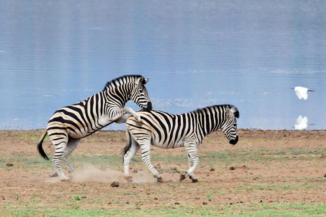 Tented Adventures Pilanesberg Ngoại thất bức ảnh